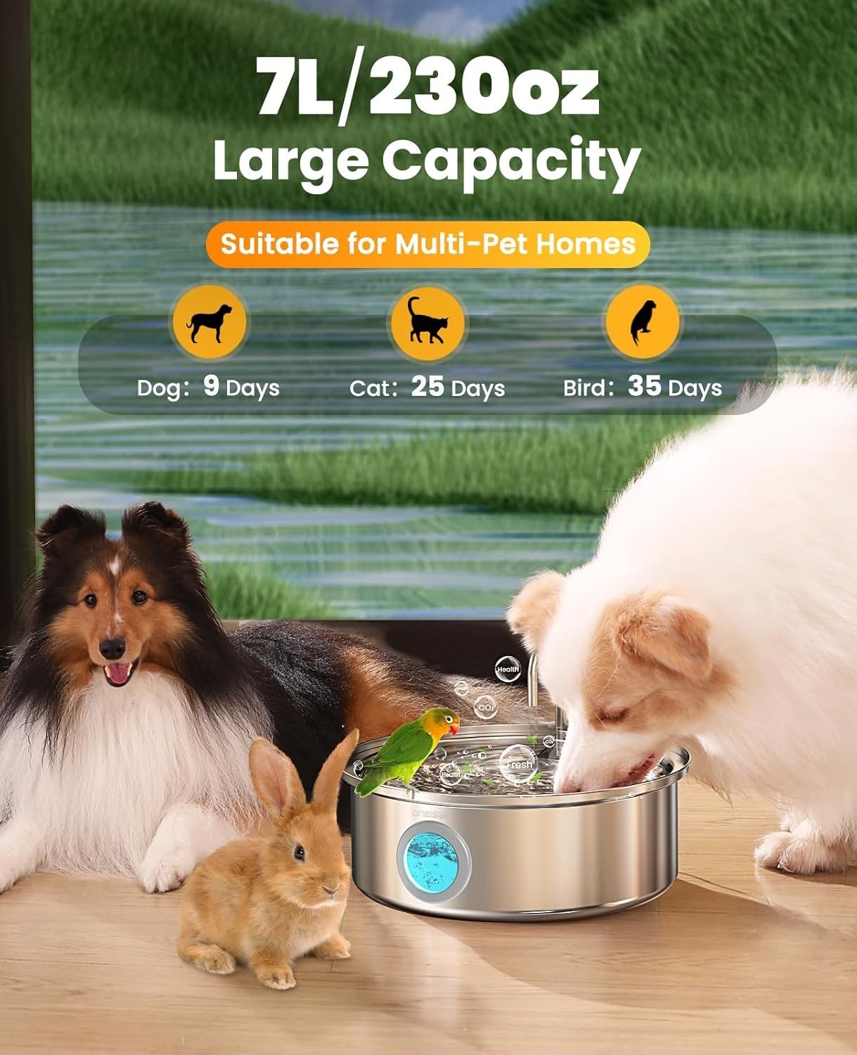 Pet Feeding Bundle – Oneisall Stainless Steel Dog Fountain + Raised Ceramic Bowl