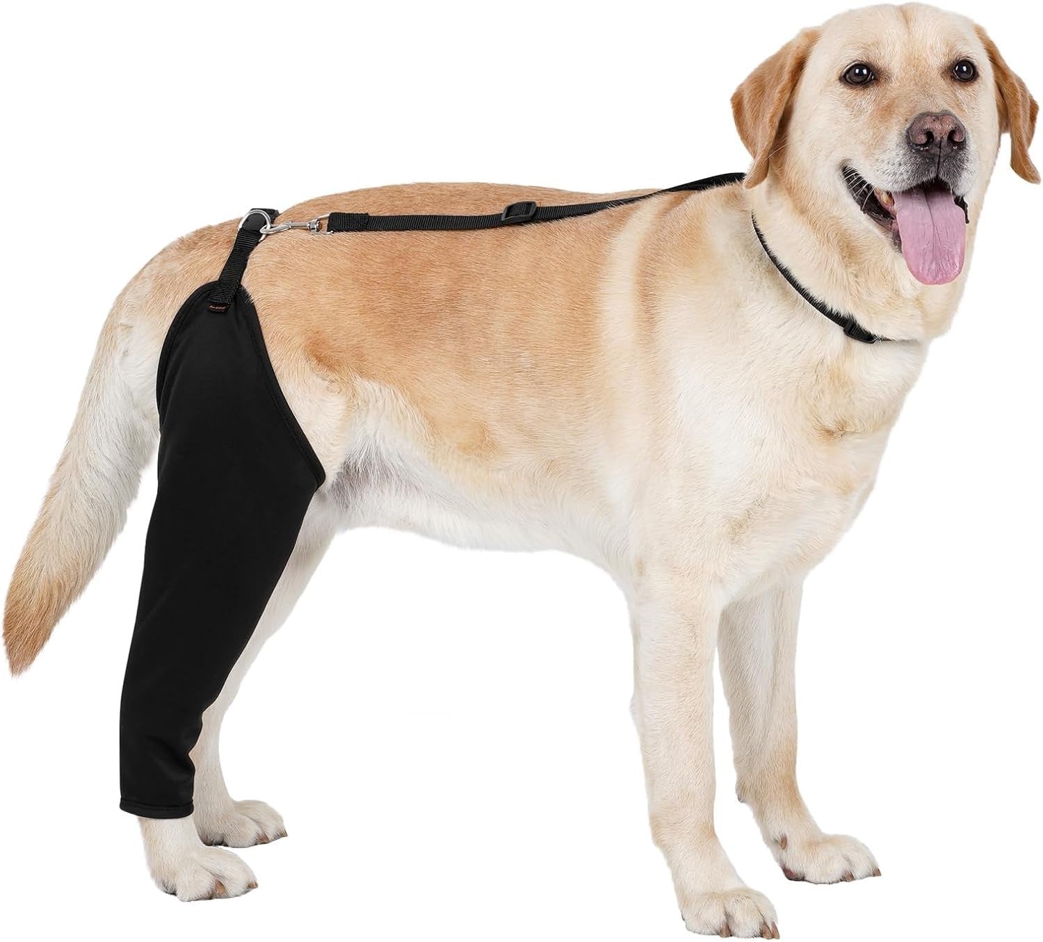 XL Dog Rear Leg Support Sleeve w/ Straps – Hind Leg Injury Recovery Sling