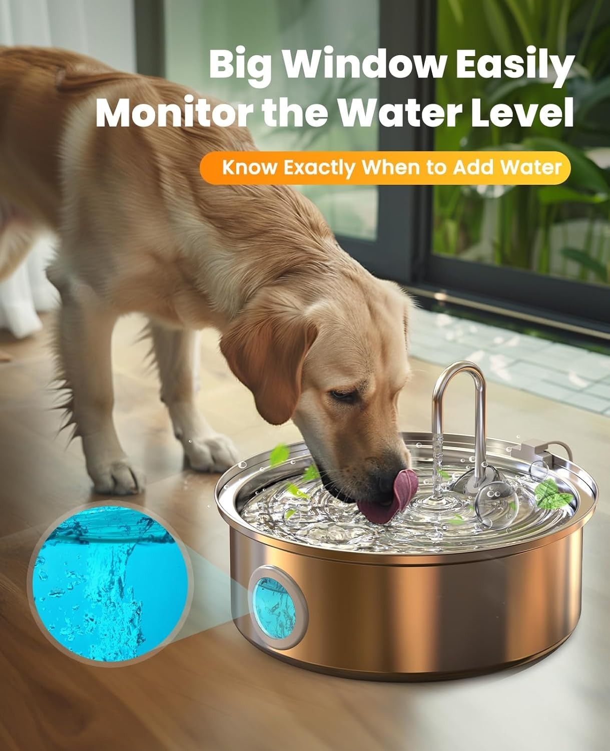 Pet Feeding Bundle – Oneisall Stainless Steel Dog Fountain + Raised Ceramic Bowl
