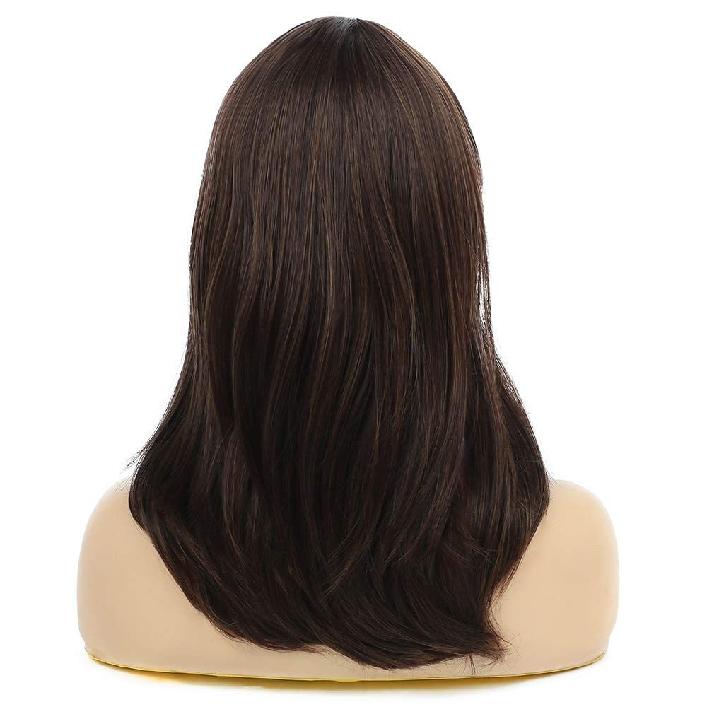 Dainty Wig Long Brown Synthetic Hair for Women + 3 Accessories | Daily Use