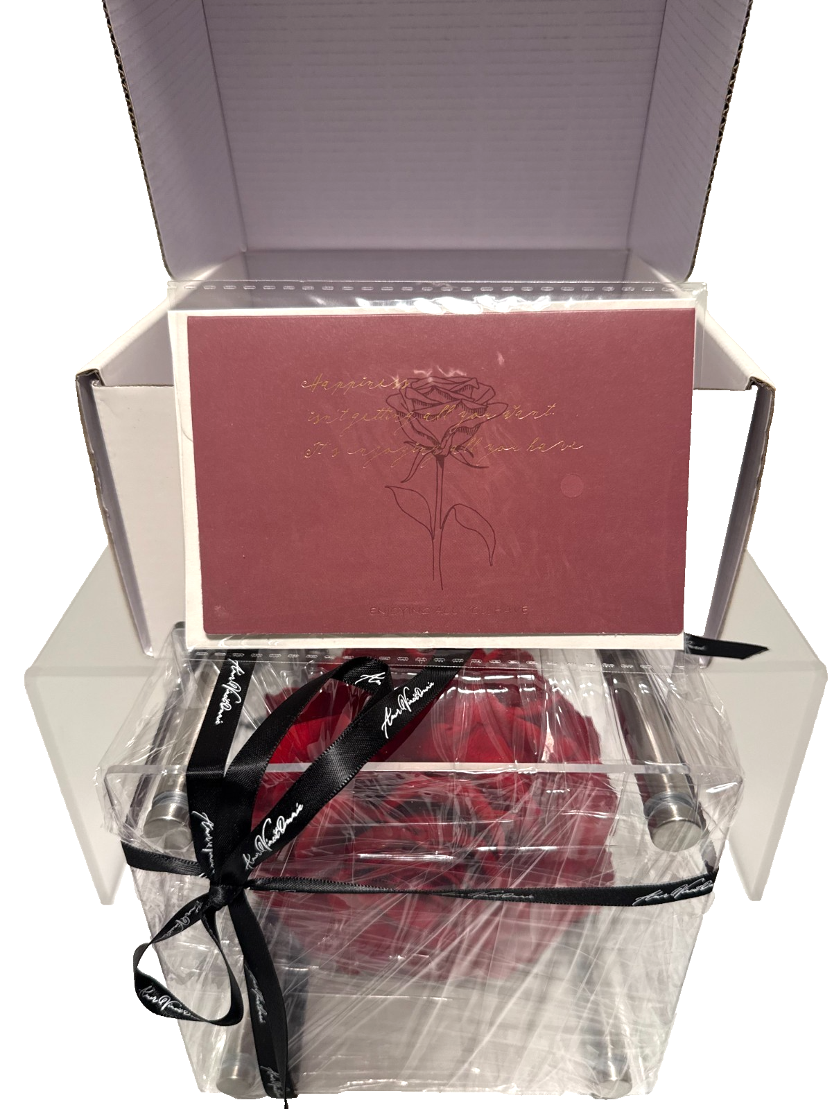 Amor Veritas Omnia Luxury Preserved Rose in Acrylic Display Box – Eternal Rose