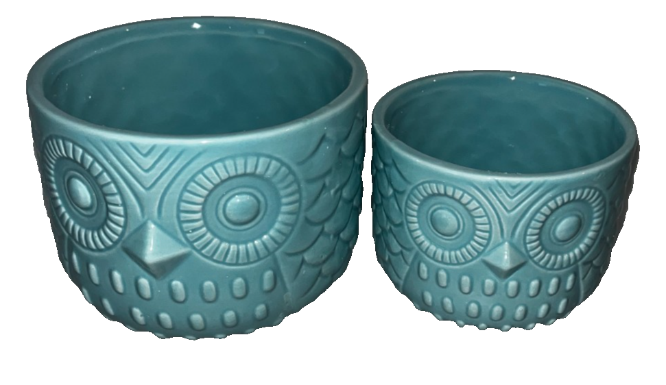 Owl Succulent Planter, Turquoise Animal Ceramic Planter Pots with Drainage