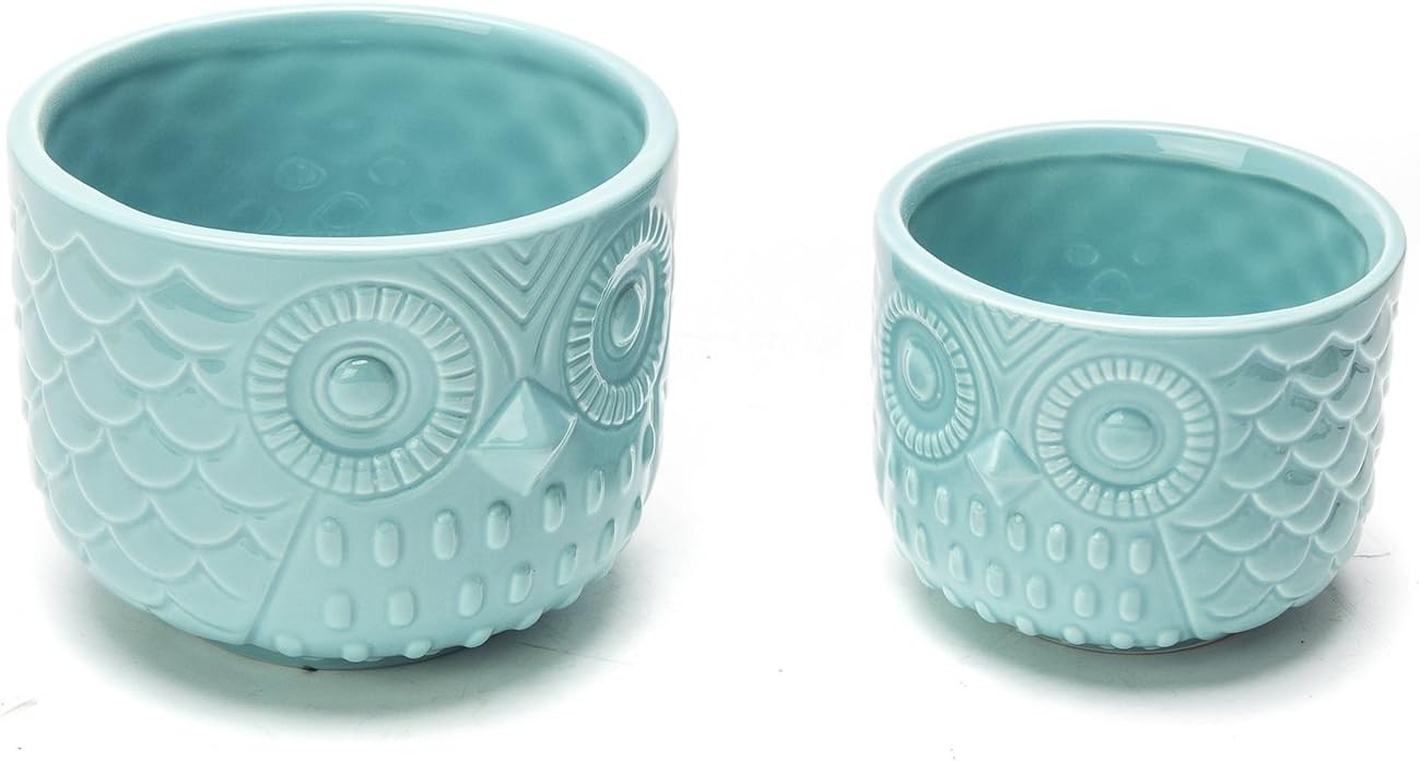 Owl Succulent Planter, Turquoise Animal Ceramic Planter Pots with Drainage