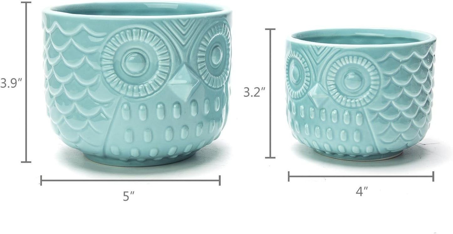 Owl Succulent Planter, Turquoise Animal Ceramic Planter Pots with Drainage